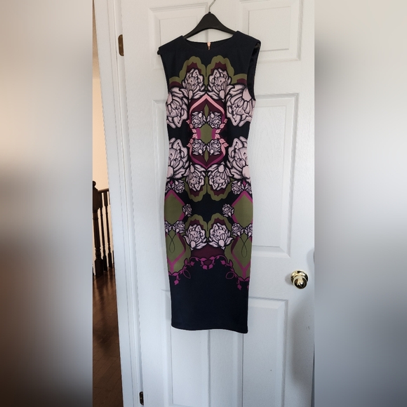 Gorgeous Ted Baker dress with entire zippered back. - Picture 1 of 4